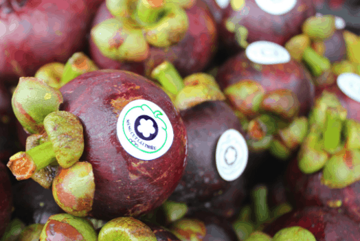 vườn cây trái gần sài gòn vườn cây trái gần sài gòn