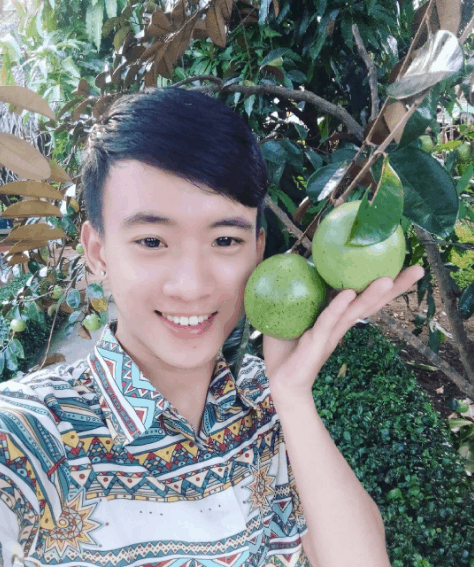 vườn cây trái gần sài gòn vườn cây trái gần sài gòn