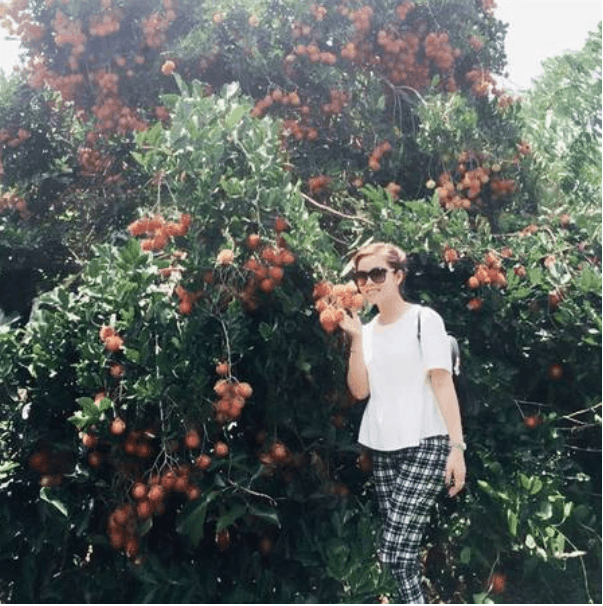 vườn cây trái gần sài gòn vườn cây trái gần sài gòn