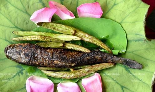 đặc sản đồng sen tháp mười đặc sản đồng sen tháp mười