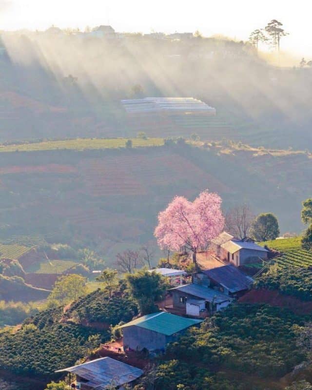 Những khung cảnh tuyệt đẹp bên đường được chụp lại (Ảnh ST)