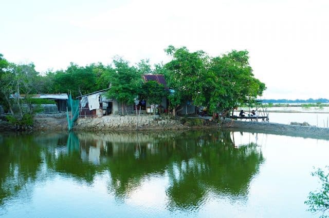 Ngôi nhà duy nhất trong rừng Rú Chá của "người giữ rú" Nguyễn Văn Đáp. (Ảnh: ST)