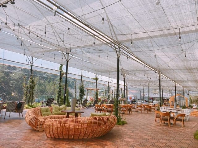 Quán cà phê F cánh đồng hoa với không gian độc đáo (Ảnh ST)