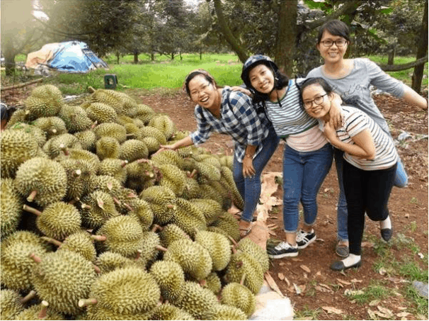 vườn cây trái gần sài gòn vườn cây trái gần sài gòn