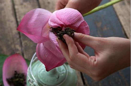 đặc sản đồng sen tháp mười đặc sản đồng sen tháp mười