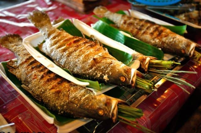 kinh nghiệm du lịch phượt mộc châu