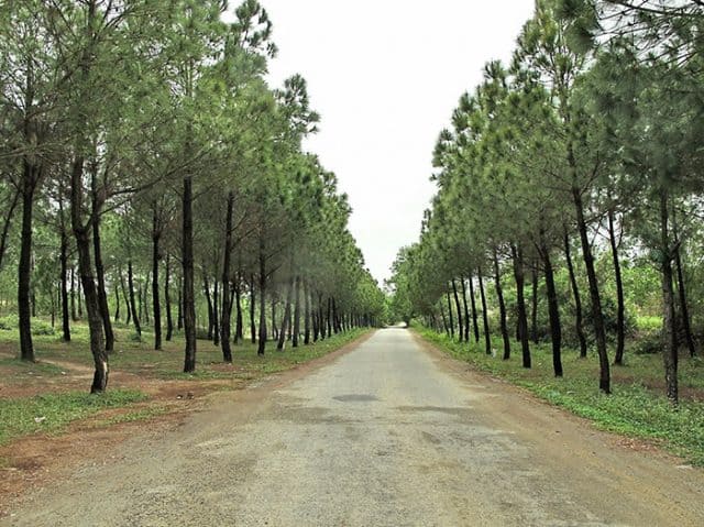 Đồi Vọng Cảnh