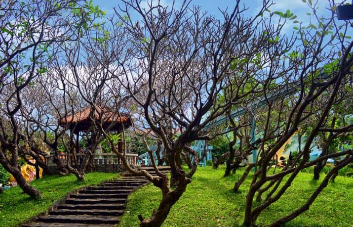 công viên văn hóa Đầm Sen công viên văn hóa Đầm Sen