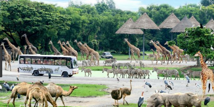 Vinpearl Safari Phú Quốc