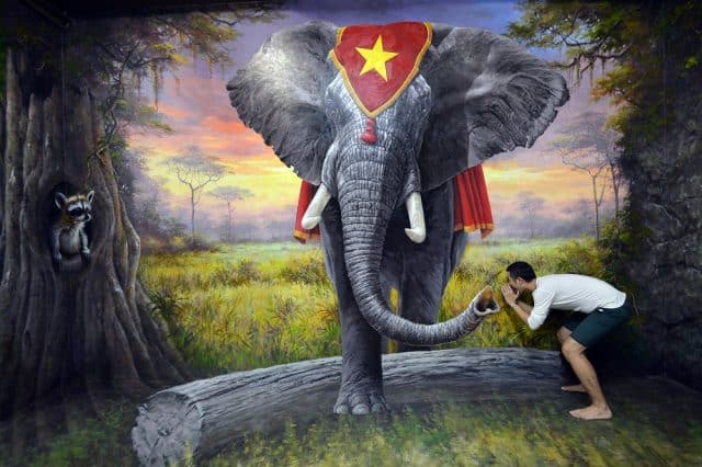 Rừng rậm kỳ bí trong khu Safari