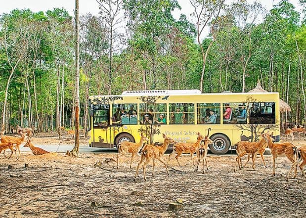 khu vực Safari Vườn thú Vinpearl Phú Quốc