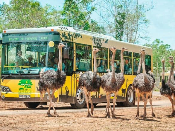 khu Safari Vinpearl Safari Phú Quốc