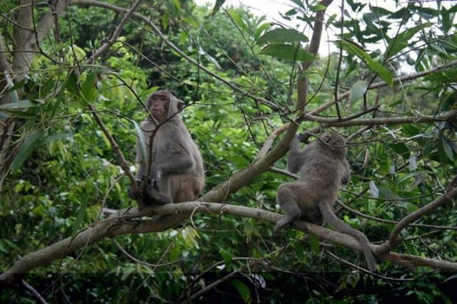 kinh nghiệm du lịch bắc kạn