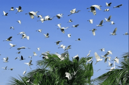 vườn quốc gia lò gò xa mát vườn quốc gia lò gò xa mát