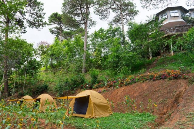Khu du lịch Lá Phong Đà Lạt (Ảnh: ST)