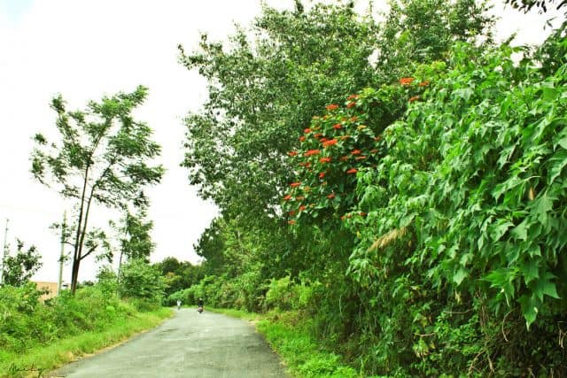 đèo dran (ảnh: st)