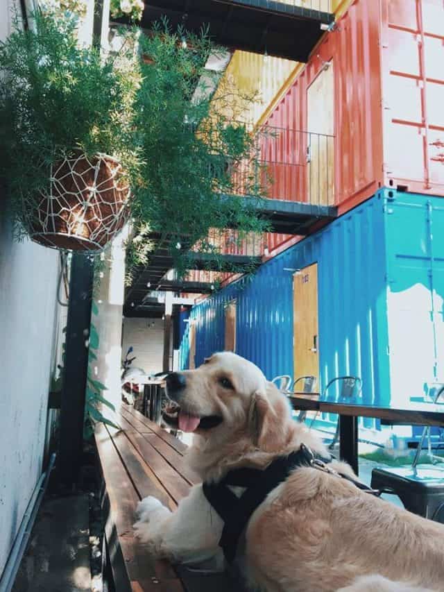 Ccasa hostel (Ảnh: ST)