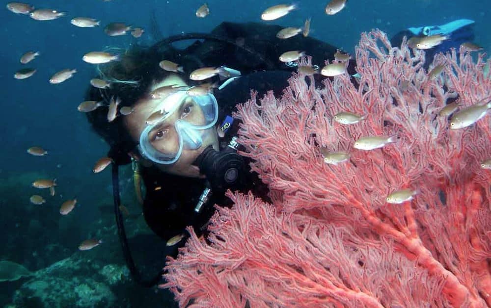 Đảo Song Saa - Thiên đường "Maldives Campuchia" ngay sát Việt Nam