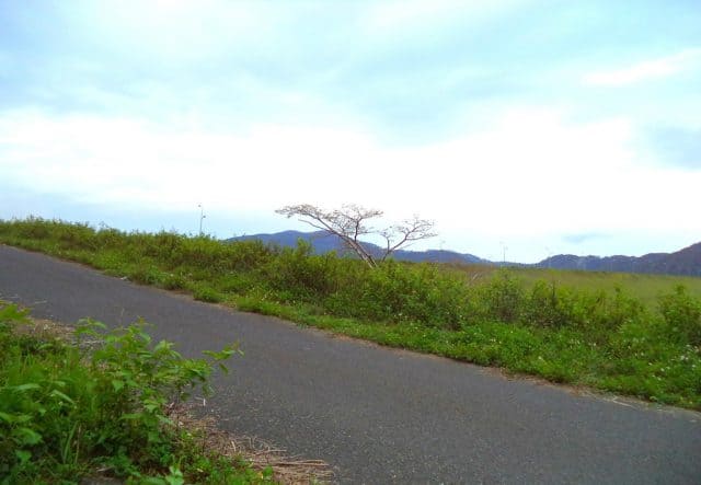 đèo dran (ảnh: st)
