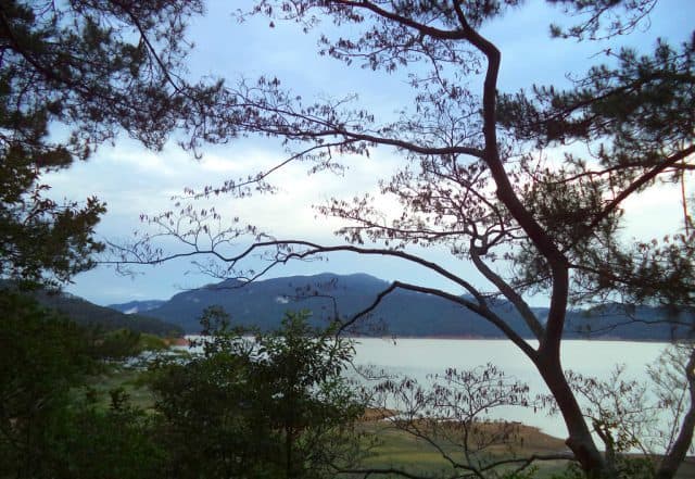 đèo dran (ảnh: st)