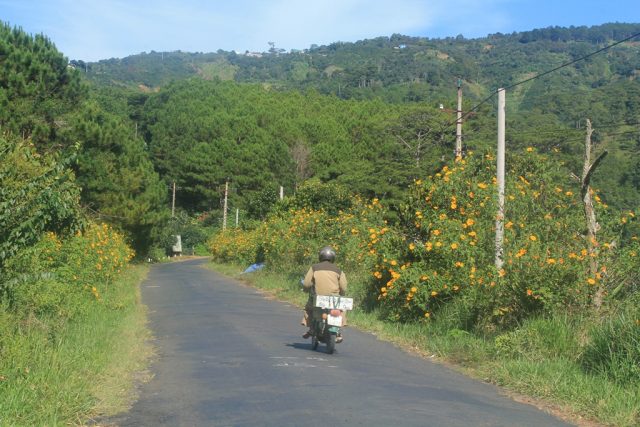 đèo dran (ảnh: st)