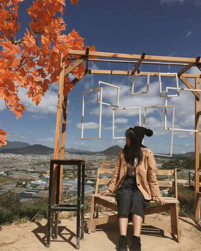 Sunny Farm Đà Lạt (Ảnh: ST)