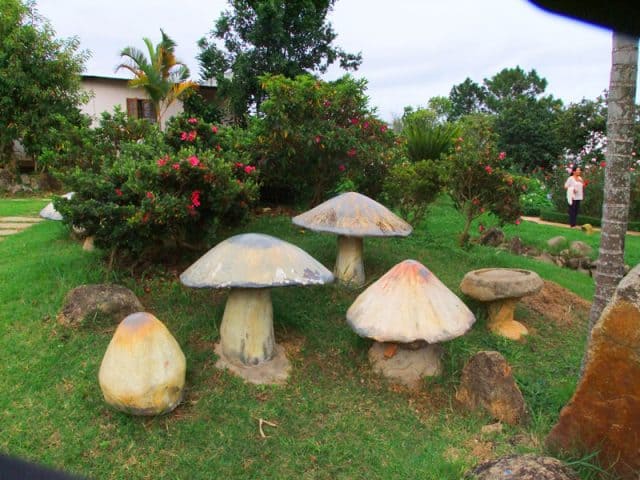 vườn hoa Minh Tâm (Ảnh: ST)