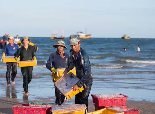làng chài Phước Hải làng chài Phước Hải