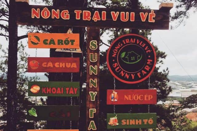 Sunny Farm Đà Lạt (Ảnh: ST)