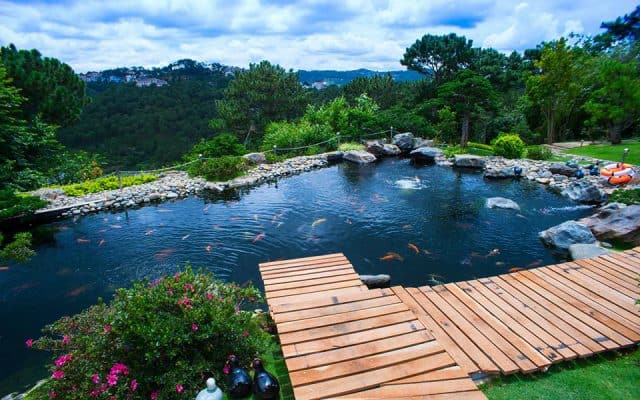 Khu du lịch Lá Phong Đà Lạt (Ảnh: ST)