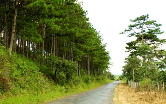 đèo dran (ảnh: st)