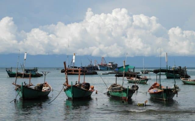 Thuyền ghe san sát bên bờ (ảnh ST)