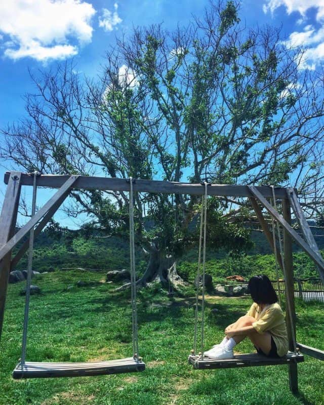 Chụp ảnh check-in ở B&U Farm