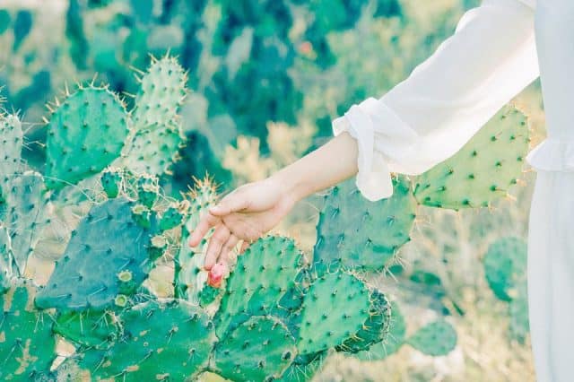 "Nhập vai" nữ chính ngôn tình ở Cánh đồng xương rồng Đà Nẵng