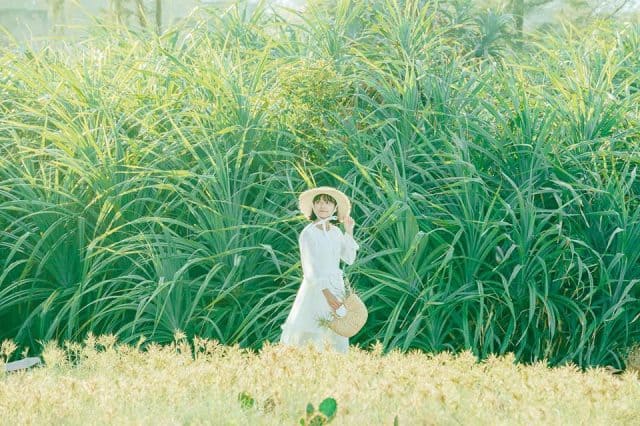 "Nhập vai" nữ chính ngôn tình ở Cánh đồng xương rồng Đà Nẵng