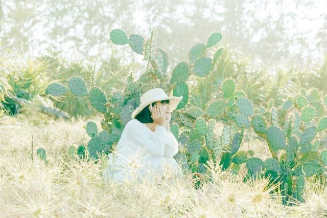 "Nhập vai" nữ chính ngôn tình ở Cánh đồng xương rồng Đà Nẵng