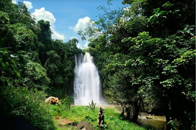 "Lang thang" một thoáng tìm về Cao nguyên Di Linh Đà Lạt