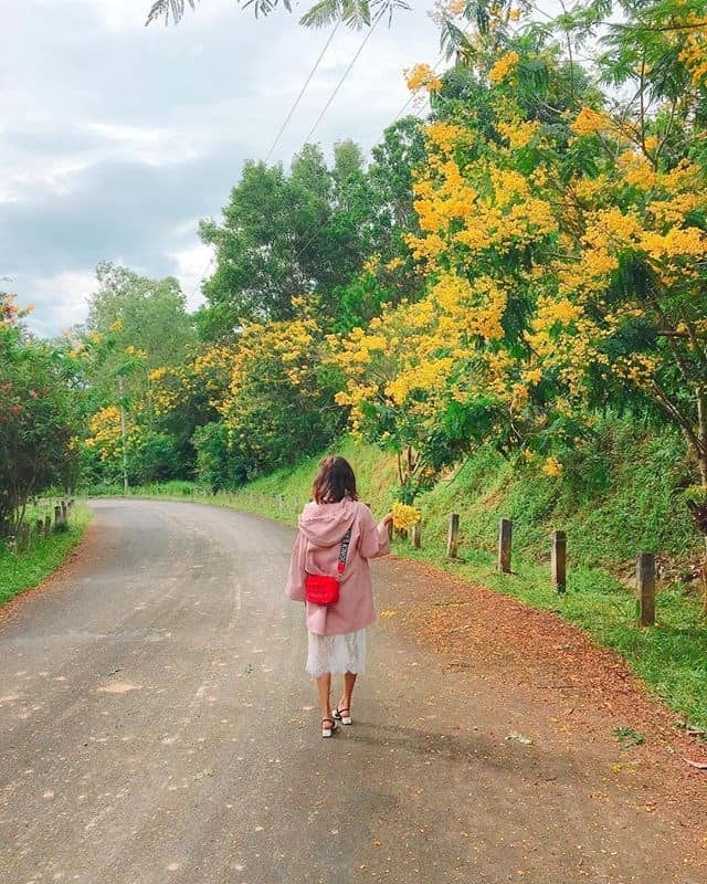 "Lang thang" một thoáng tìm về Cao nguyên Di Linh Đà Lạt