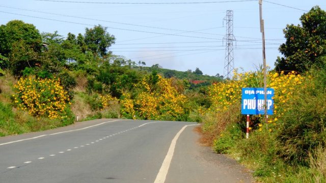 "Lang thang" một thoáng tìm về Cao nguyên Di Linh Đà Lạt