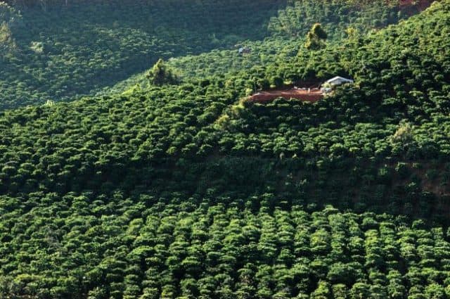 "Lang thang" một thoáng tìm về Cao nguyên Di Linh Đà Lạt