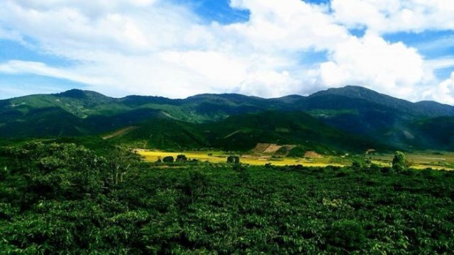 "Lang thang" một thoáng tìm về Cao nguyên Di Linh Đà Lạt
