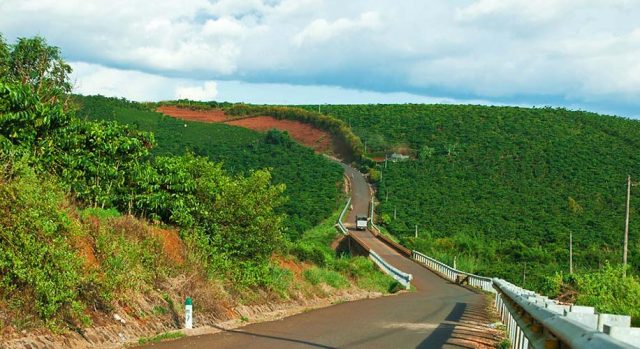 "Lang thang" một thoáng tìm về Cao nguyên Di Linh Đà Lạt