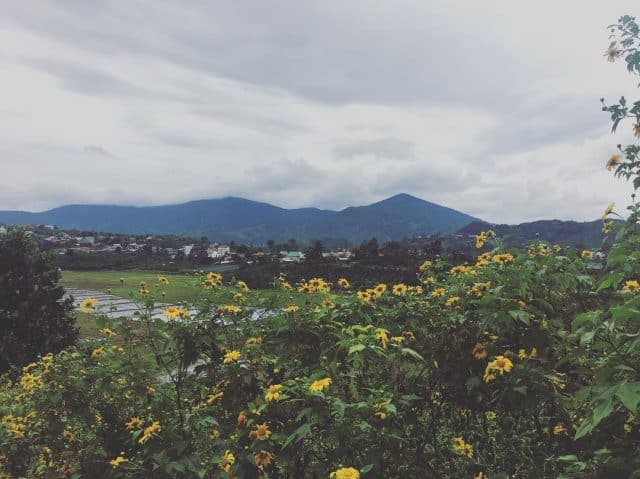 "Lang thang" một thoáng tìm về Cao nguyên Di Linh Đà Lạt