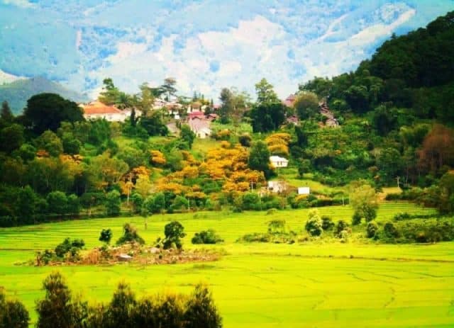 "Lang thang" một thoáng tìm về Cao nguyên Di Linh Đà Lạt