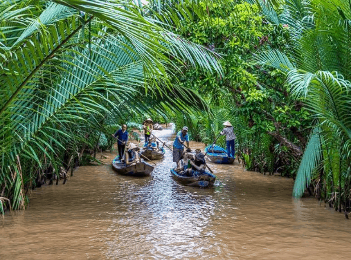 Káº¿t quáº£ hÃ¬nh áº£nh cho hinh anh dep ve cÃ´Ìn long