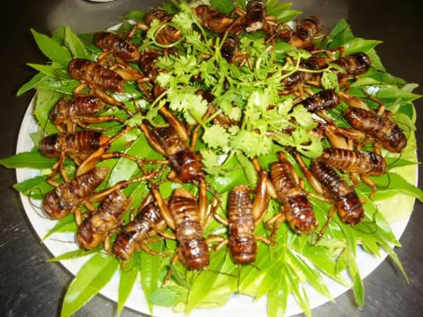 đặc sản đồng nai đặc sản đồng nai