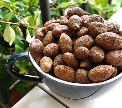 đặc sản đồng nai đặc sản đồng nai