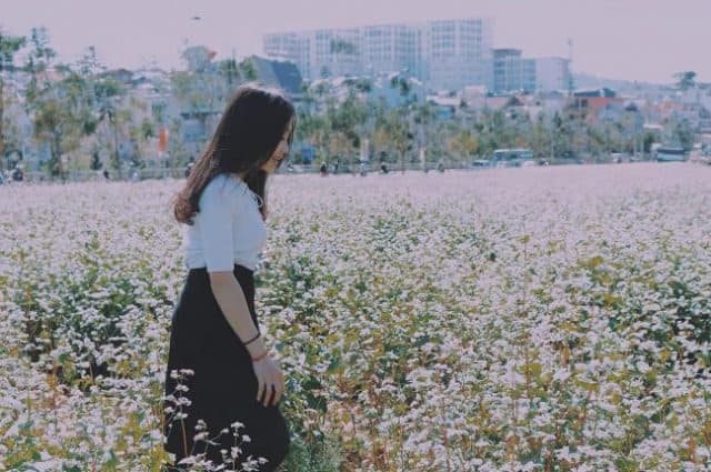 Đà Lạt có gì tháng 8? Cả một thiên đường hoa Đà Lạt rực rỡ đang chờ bạn!