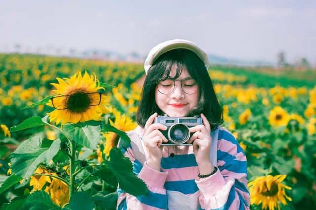 Đà Lạt có gì tháng 8? Cả một thiên đường hoa Đà Lạt rực rỡ đang chờ bạn!