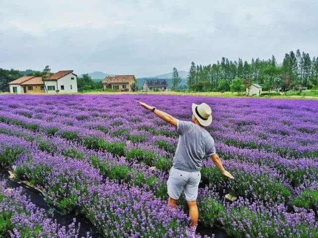 Đà Lạt có gì tháng 8? Cả một thiên đường hoa Đà Lạt rực rỡ đang chờ bạn!